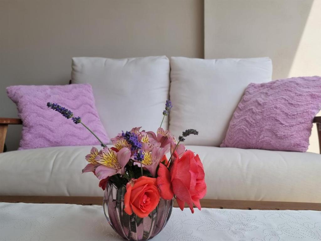 Apartments Ragusa Rovinj Luaran gambar